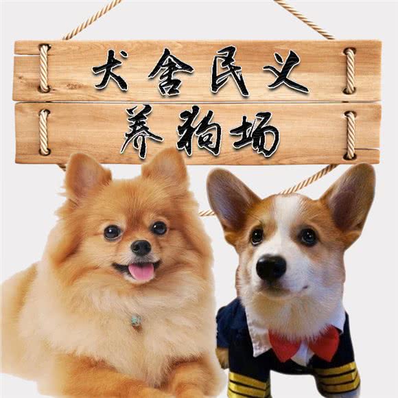 上海犬舍民义养狗场:上海城区浦东新区迪士尼附近