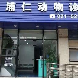 浦仁动物诊所:上海城区浦东新区迪士尼附近