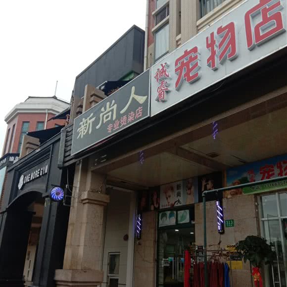 诚睿宠物店:上海城区浦东新区高行附近