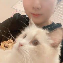 萬千宠猫社:北京城区海淀区上庄附近