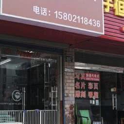 家宠乐园:上海城区浦东新区高行附近