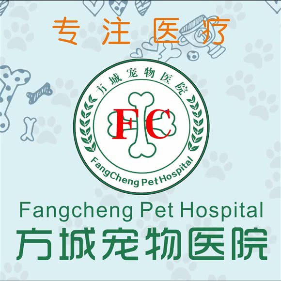 24小时 方城宠物医院 骨科专科:上海城区浦东新区泥城附近