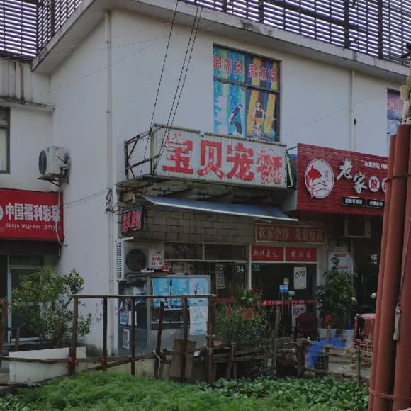 宝贝宠物:上海城区浦东新区浦东机场/机场镇附近