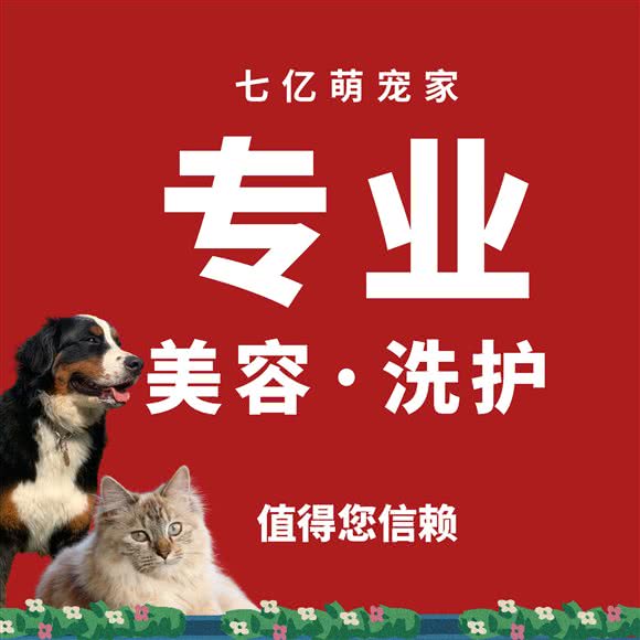 七亿萌宠家:上海城区浦东新区浦东机场/机场镇附近