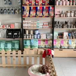 布道格萌宠(祝桥店):上海城区浦东新区祝桥附近