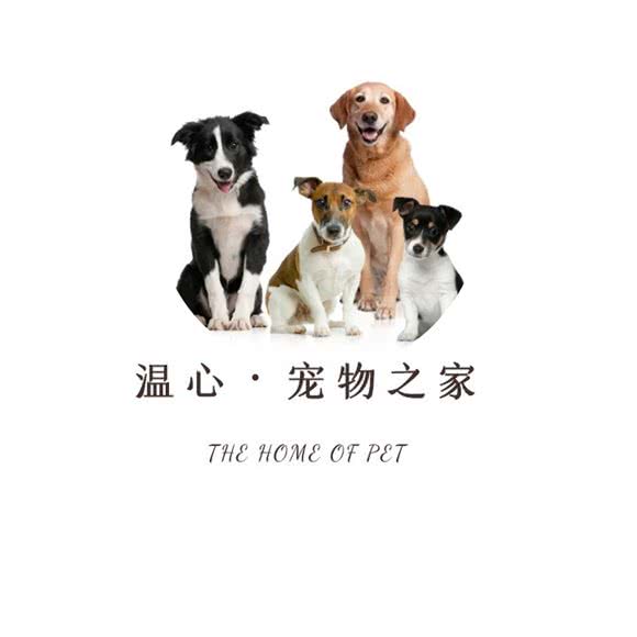 WEMXIN温心宠屋?猫狗售卖精品店:上海城区浦东新区唐镇附近