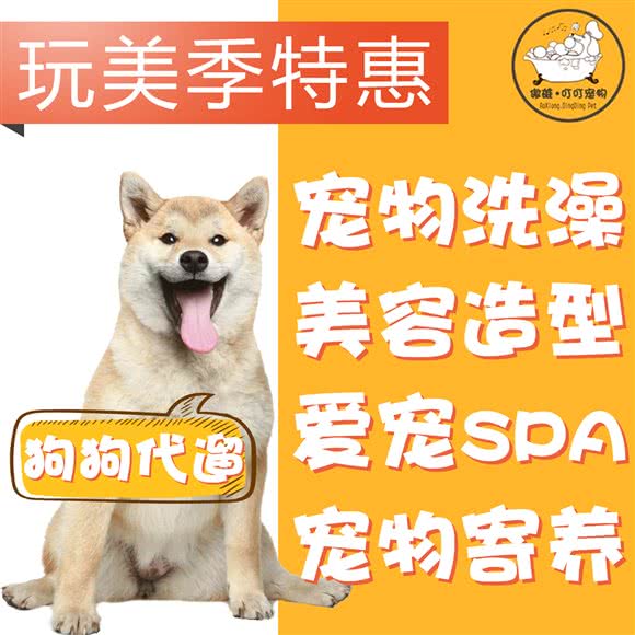 傲雄叮叮宠物SPA CLUB(阳光天地店):上海城区浦东新区唐镇附近