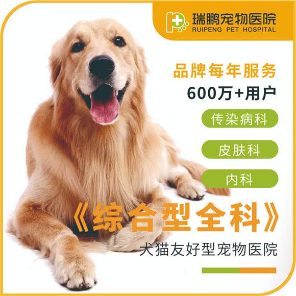瑞鹏宠物医院(唐镇分店):上海城区浦东新区唐镇附近