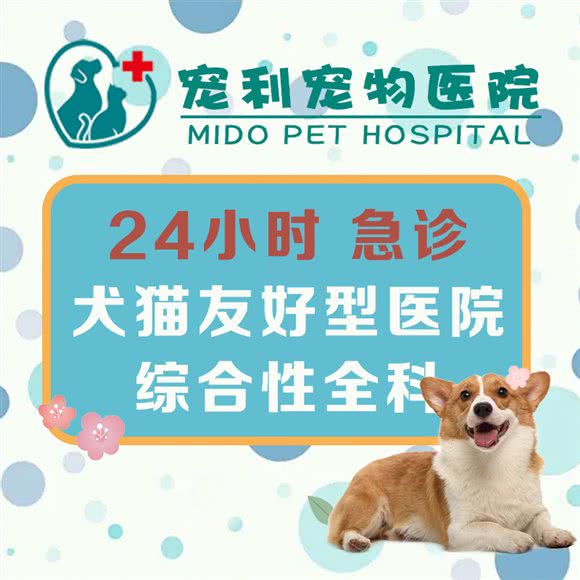 宠利宠物医院(唐镇店):上海城区浦东新区唐镇附近