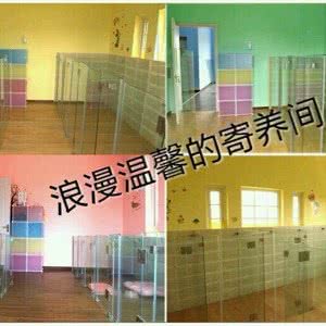 宠物学校 宠物训练、寄养:上海城区浦东新区航头附近