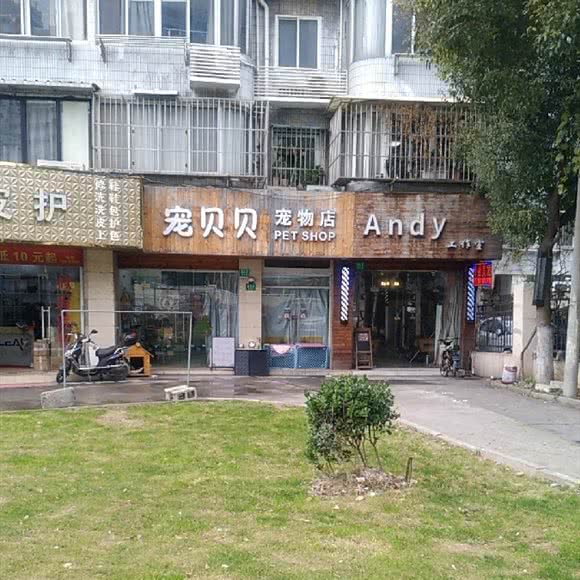 宠贝贝宠物店(耀华路店):上海城区浦东新区世博园附近