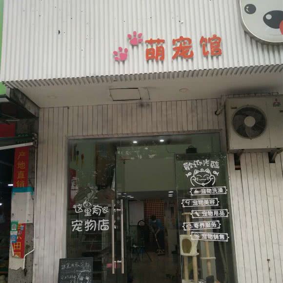 CDDC犬猫皮肤科中心:上海城区浦东新区世博园附近