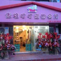傲雄叮叮宠物美容(御桥路店):上海城区浦东新区世博园附近