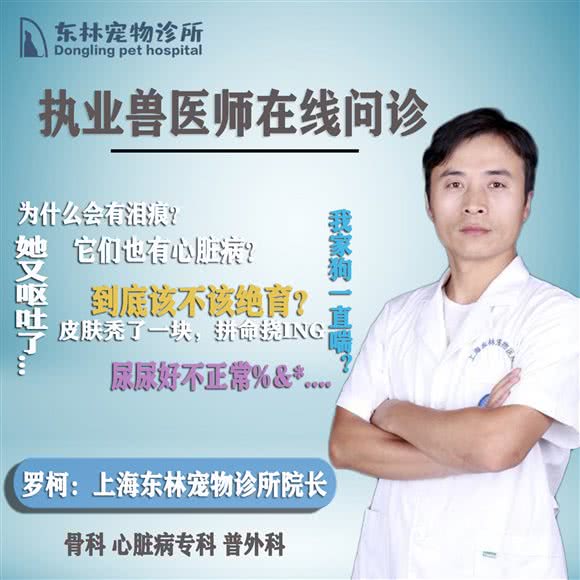 东林宠物诊所·骨外科·心脏彩超·综合性全科诊疗机构:上海城区浦东新区世博园附近