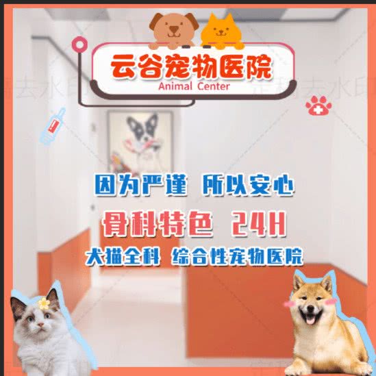 云谷宠物医院·骨科特色·综合性宠物医院24H:上海城区浦东新区世博园附近