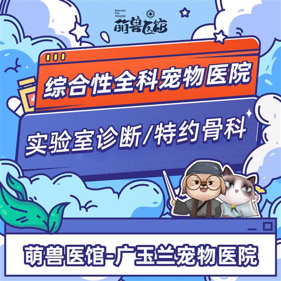 萌兽医馆·广玉兰宠物医院·镭射康复诊疗中心·综合性全科医院:上海城区浦东新区世博园附近