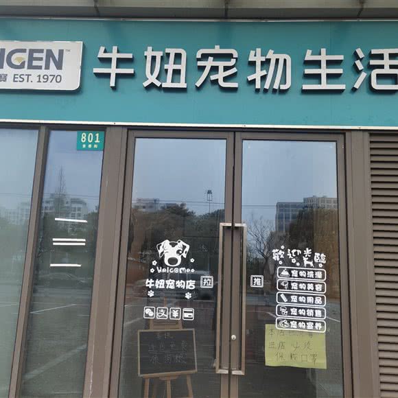 牛妞宠物生活馆:上海城区浦东新区滴水湖临港地区附近