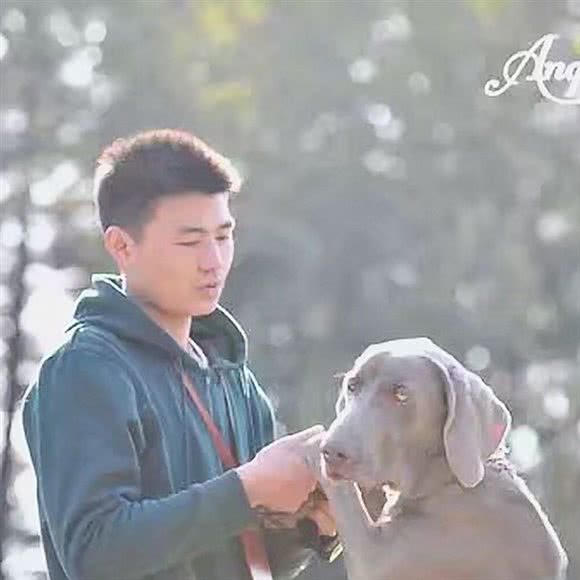 十二宠物训练·狗狗训练学校:上海城区浦东新区联洋附近