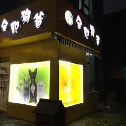 全职狗爸:上海城区浦东新区花木附近