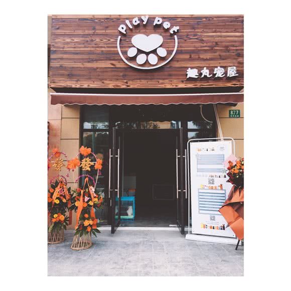趣丸宠屋:上海城区金山区金山卫附近