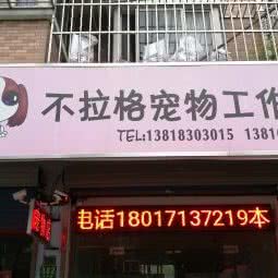 不拉格宠物店(金山店):上海城区金山区金山卫附近
