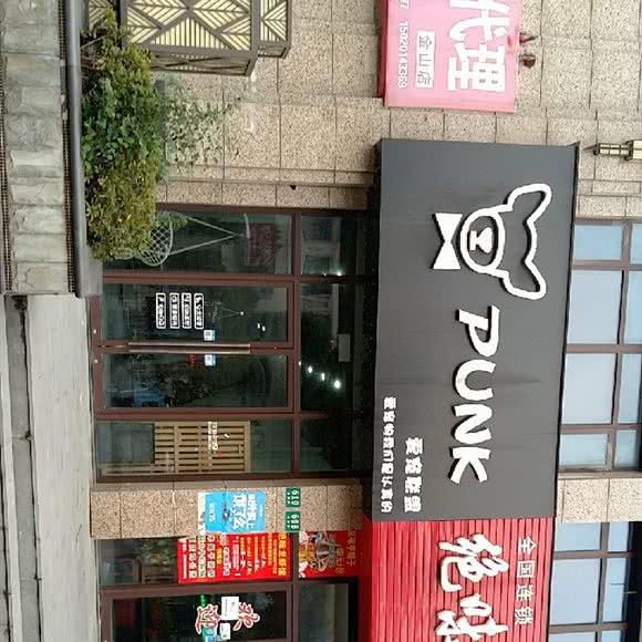 punk爱宠联盟:上海城区金山区金山卫附近