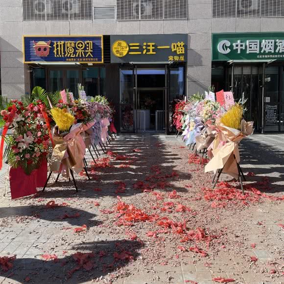三汪一喵宠物屋(门头沟店):北京城区门头沟区门头沟区附近