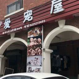 萌萌哒爱宠屋:上海城区金山区金山卫附近