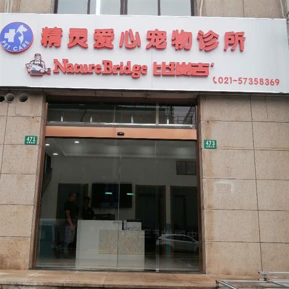 精灵爱心宠物诊所:上海城区金山区金山卫附近
