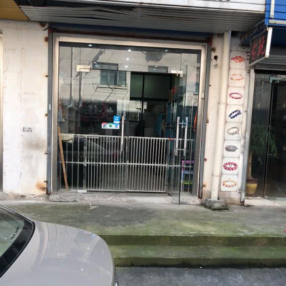 宠物店:上海城区金山区石化附近