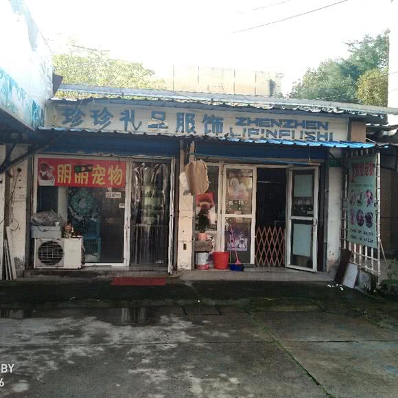 朋朋宠物:上海城区金山区石化附近