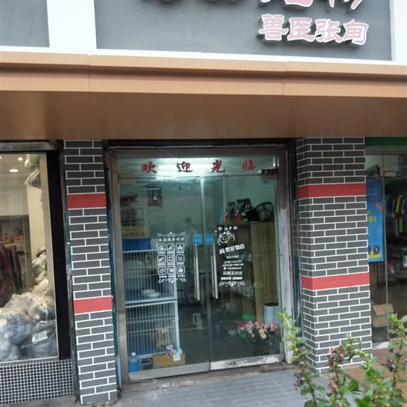 梅奥宠物兽医张甸:上海城区松江区松江镇附近