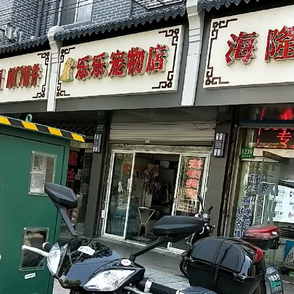 乐乐宠物店:上海城区松江区松江镇附近