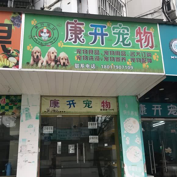 康开宠物:上海城区松江区松江镇附近