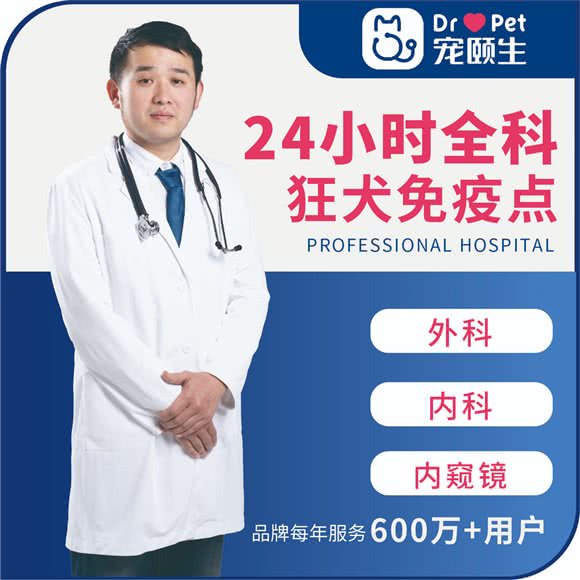 宠颐生斯嘉宠物医院24小时(谷阳北路分院):上海城区松江区松江镇附近