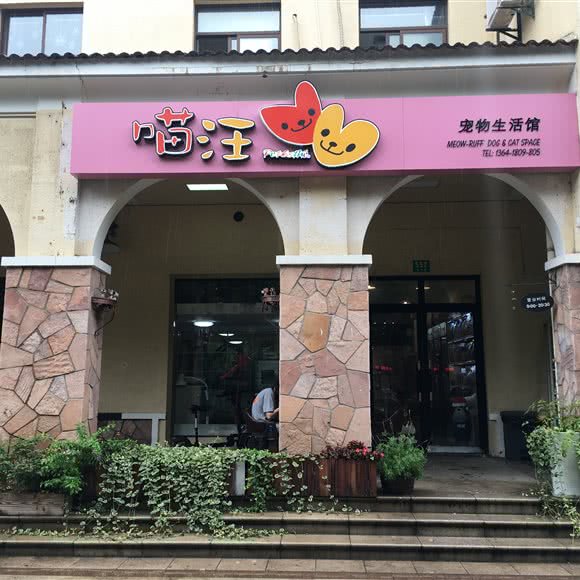 喵汪宠物生活馆(涞坊路店):上海城区松江区九亭附近