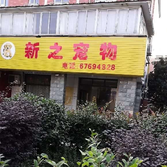 新之宠物:上海城区松江区九亭附近