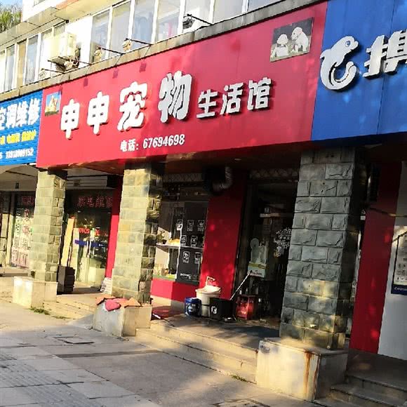 申申狗狗:上海城区松江区九亭附近