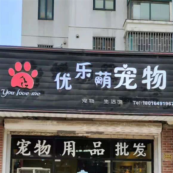 优乐萌宠物:上海城区松江区九亭附近