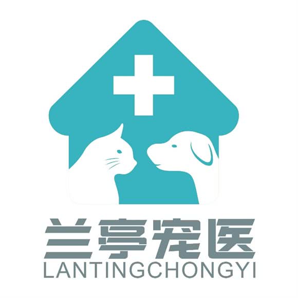 兰亭24小时宠物医院:上海城区松江区九亭附近