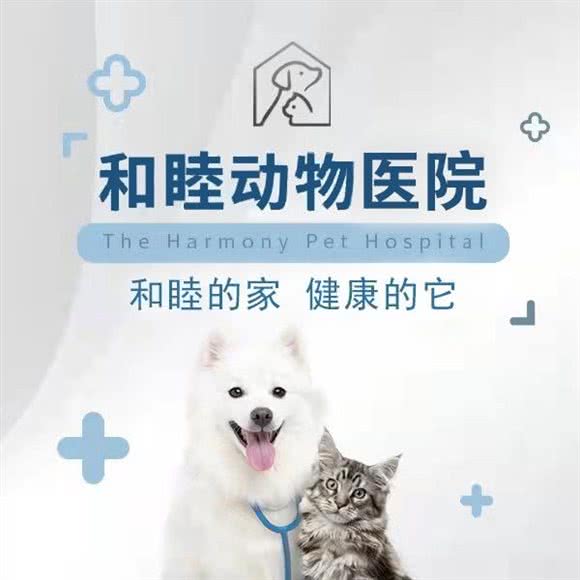 和睦动物医院·猫病专科·犬猫危重症·犬猫老年病·犬猫外科·异宠医学:上海城区松江区九亭附近