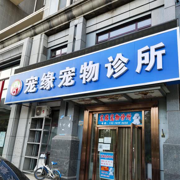 宠缘宠物狗诊所:北京城区门头沟区门头沟区附近