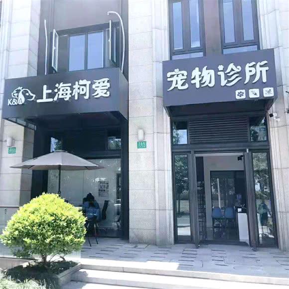 上海柯爱宠物诊所(24H):上海城区松江区佘山附近