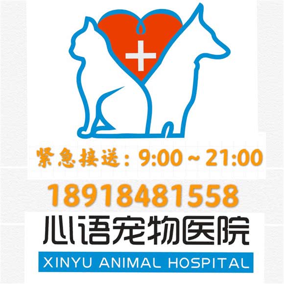 心语宠物医院·24小时急重诊(泗泾店):上海城区松江区佘山附近