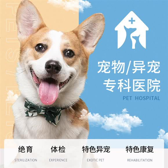湃特斯动物医院(犬、猫、异宠全科中心):上海城区松江区泰晤士小镇附近