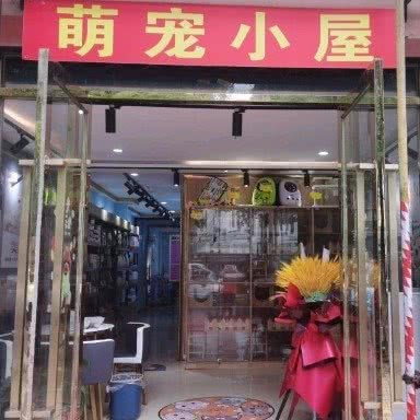 萌宠小屋:上海城区松江区新桥附近