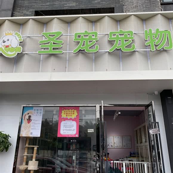 圣宠宠物(亚繁亚乐城店):上海城区松江区新桥附近