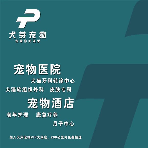 犬芽宠物诊所兽医牙科转诊中心:上海城区松江区新桥附近
