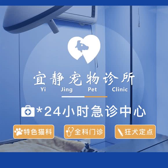 宜静宠物诊所·24H·特色猫科·狂犬定点:上海城区松江区江学路附近