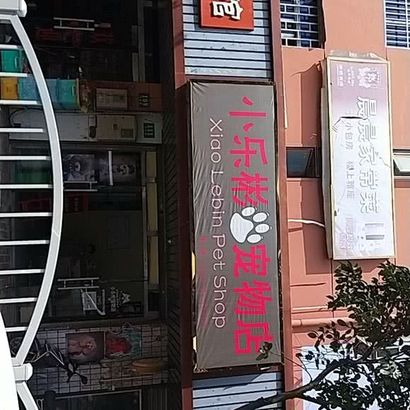 小乐彬宠物店:上海城区松江区洞泾附近